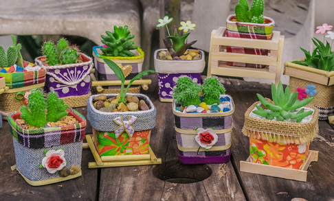 紫色的花有哪些及花名？