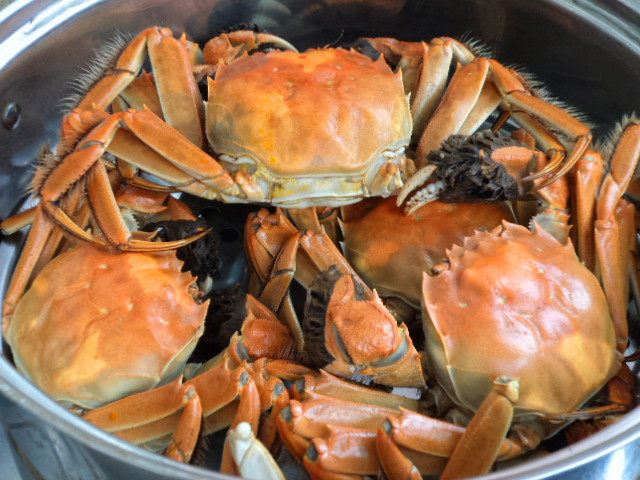 河蟹蒸多久最佳时间?