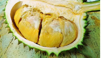 榴莲的原产地是哪里?