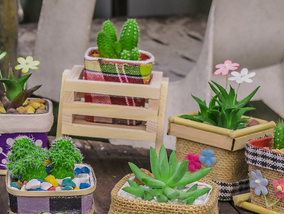 紫色的花有哪些及花名？