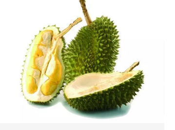 榴莲的原产地是哪里?