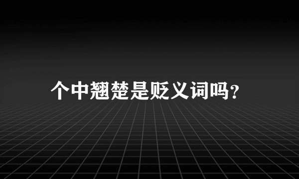 个中翘楚是贬义词吗？