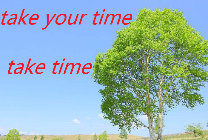 take time，take your time是什么意思
