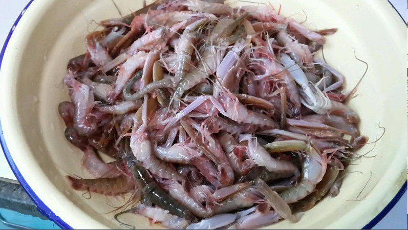 谁知道这是什么虾？有两个钳子，交个钳子还不是一样的，一大一小的钳子！看起来怪怪的，能吃么？