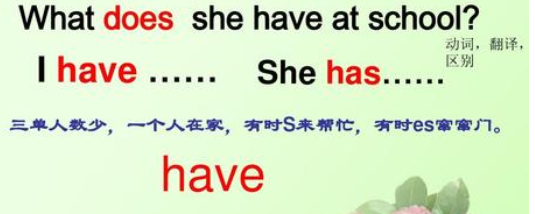 have的单三形式是什么?