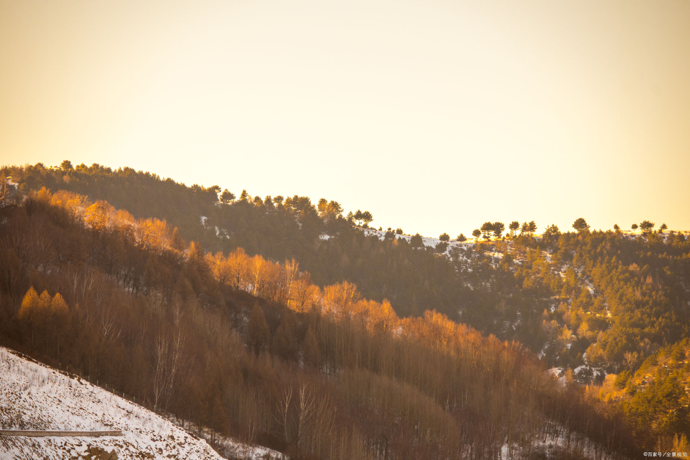 “醉卧沙场君莫笑”是什么意思﹖