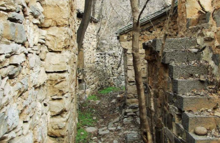 封门村到底发生了什么事?