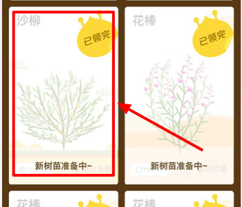 支付宝蚂蚁森林新增沙柳需要多少能量 支付宝蚂蚁森林