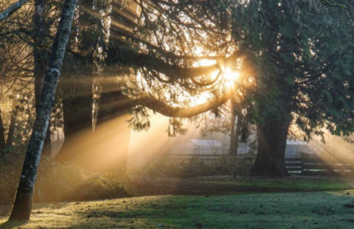 温晴是什么意思