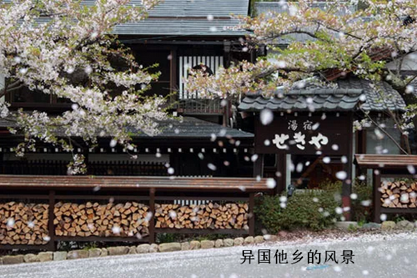 异国他乡是什么意思