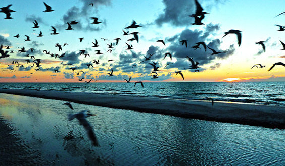 你心目中的理想世界是怎样的？