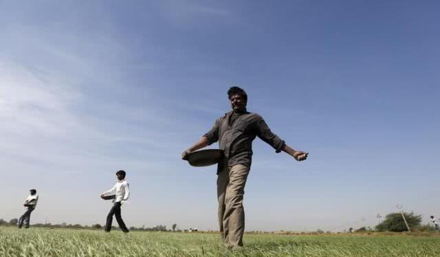 印度十万农民开拖拉机游行，他们游行的目的是什么？