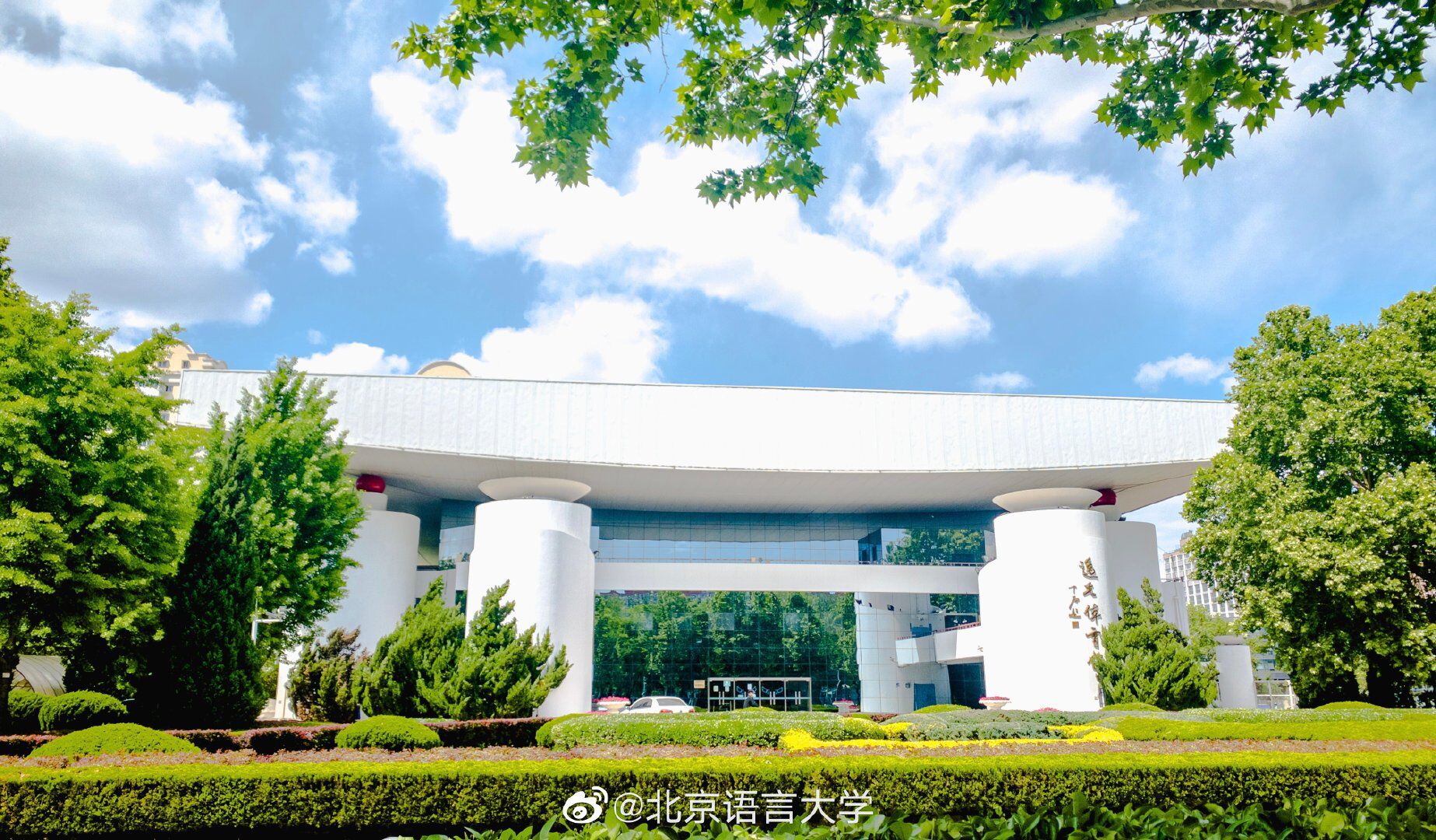 北京语言大学怎么样