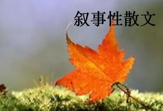 叙事性散文怎么写？