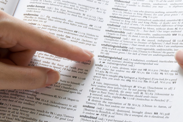 文献翻译是什么？