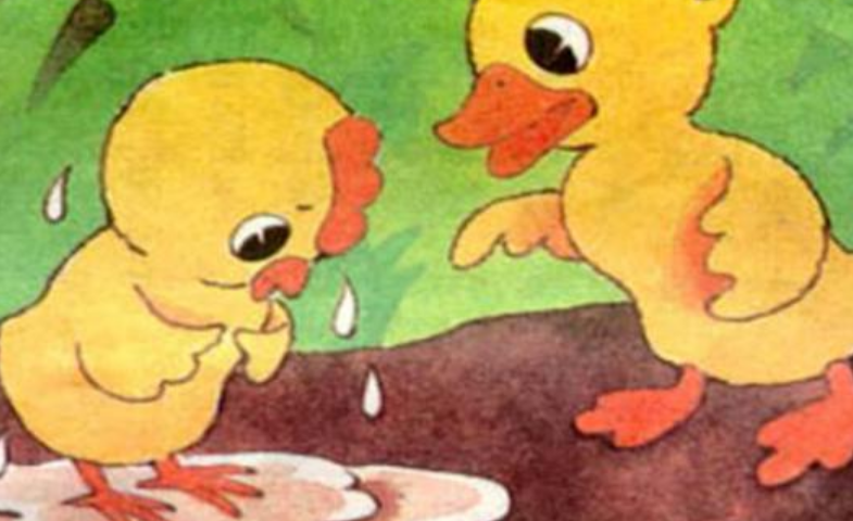 小公鸡和小鸭子告诉我们什么道理