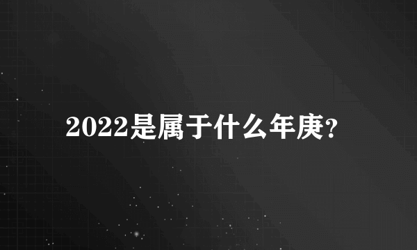 2022是属于什么年庚？