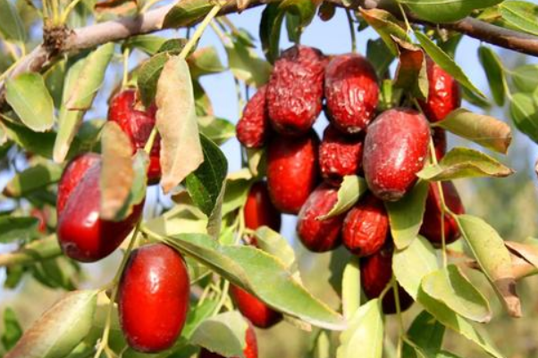 什么打什么造句二年级