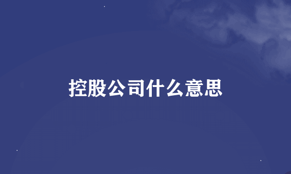 控股公司什么意思