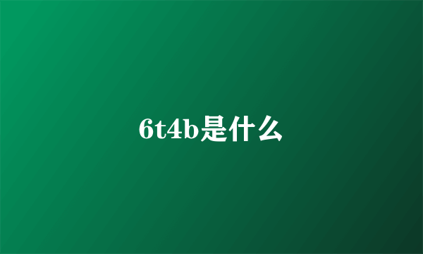 6t4b是什么