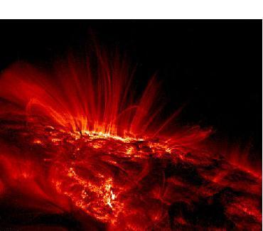 超红巨星的介绍