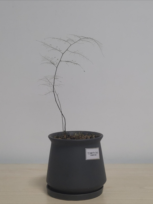 大家一般家庭用的地板砖怎样挑选