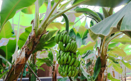 秦皇岛:北戴河/黄金海岸旅游,谁有最全的攻略或指南啊?