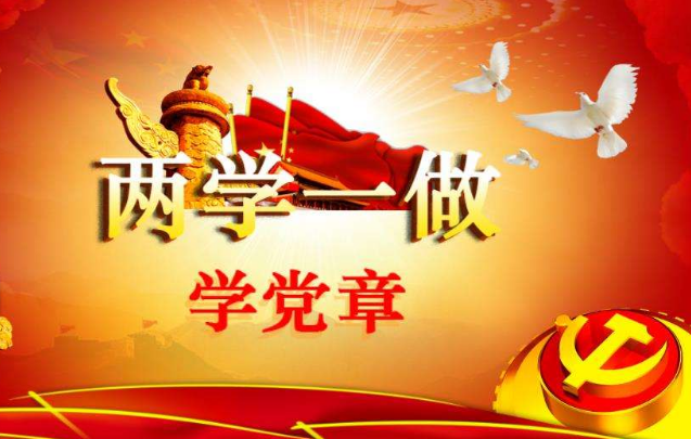 中国共产党党章是什么？