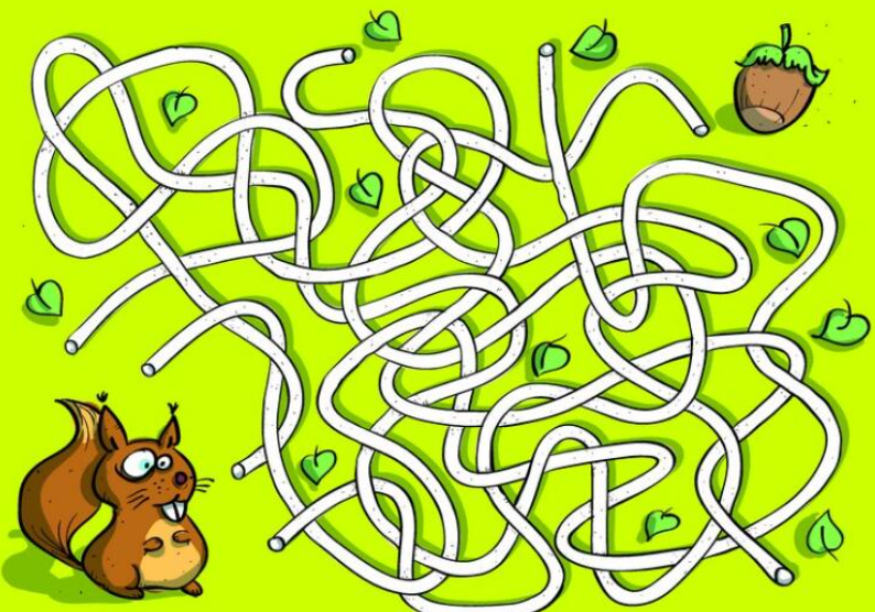 所有迷宫的特点