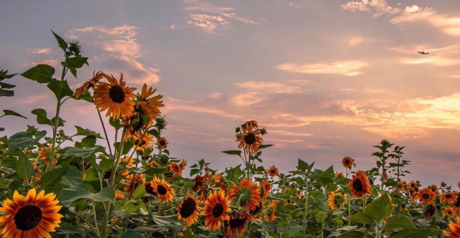 世间美好环环与你相扣歌词是什么？