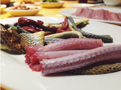 炖蛇汤怎么做？