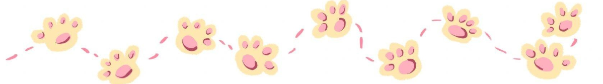 有哪些适合女孩子用的手机？