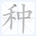 种字的笔顺