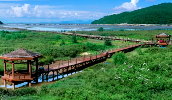 深圳好玩的地方推荐前十