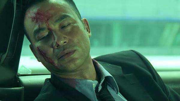 如何评价任达华、梁咏琪主演的导盲犬电影《小Q》？