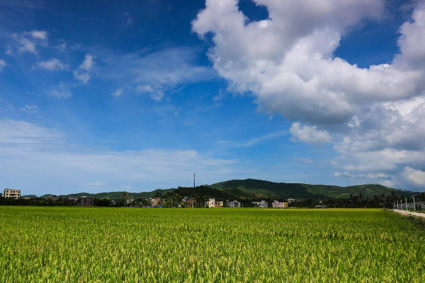 八月十五云遮月，正月十五雪打灯的含义是什么？