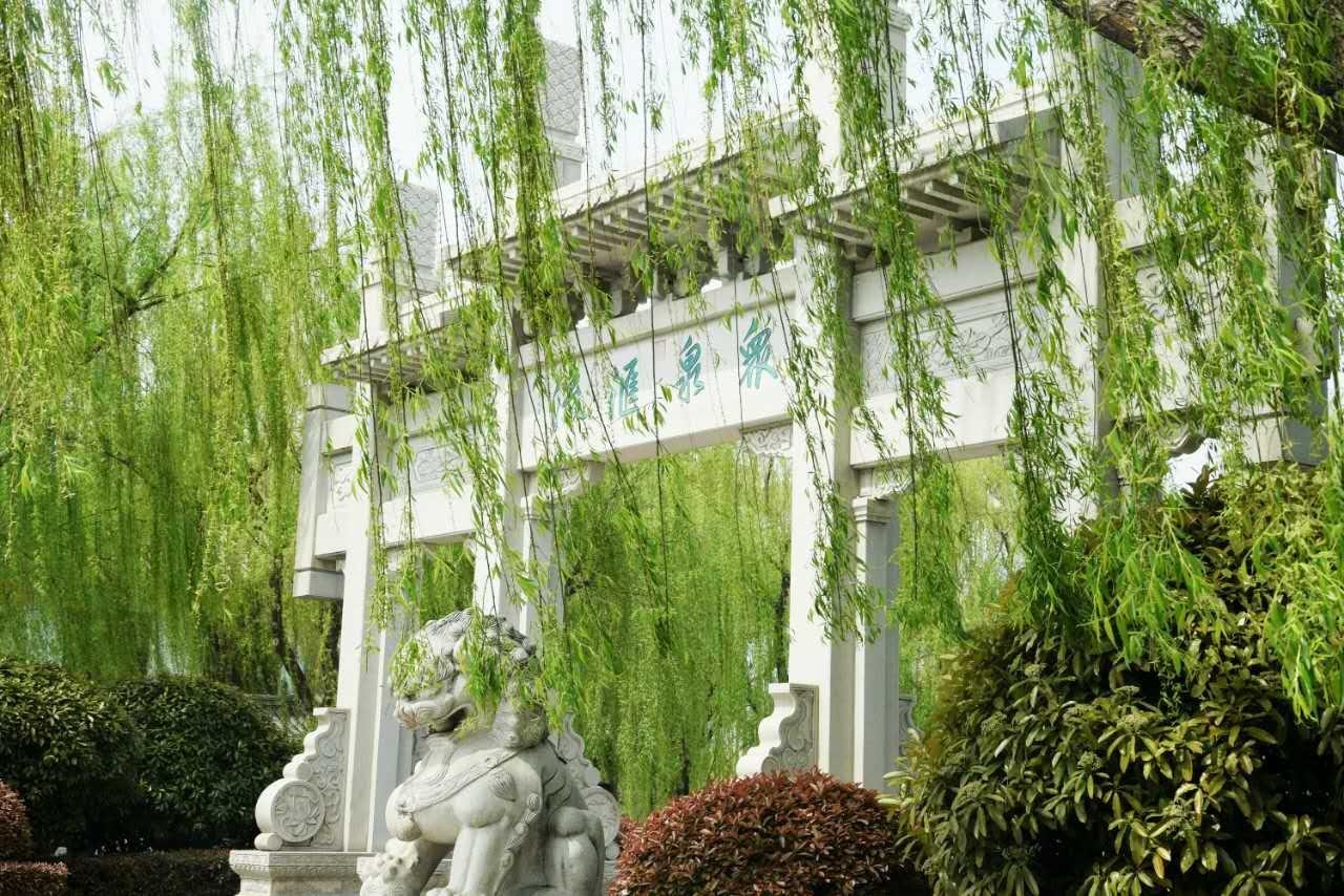 碧玉妆成一树高的意思是什么？