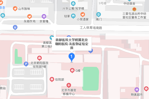 北京市亲子鉴定中心在哪里?