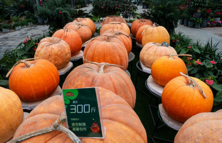 秦皇岛:北戴河/黄金海岸旅游,谁有最全的攻略或指南啊?