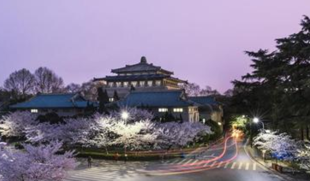 南方大学排名及分数线