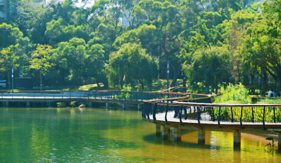 深圳好玩的地方推荐前十