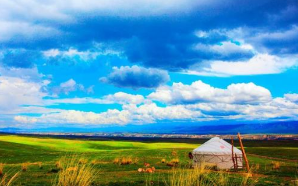 我的根在草原 歌词