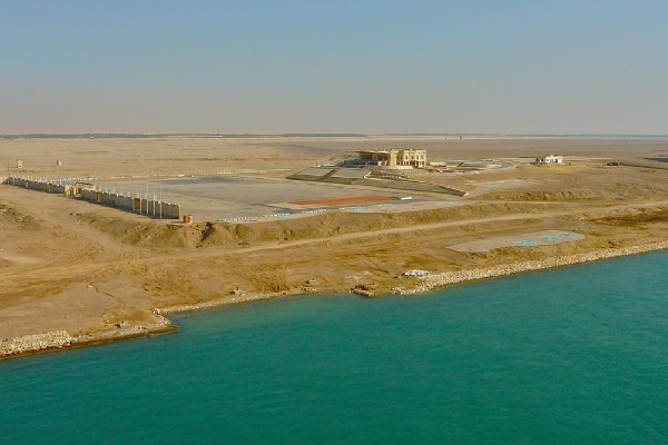 苏伊士运河堵了数千牛羊，为何说将给货船上活物带来“灭顶之灾”呢？