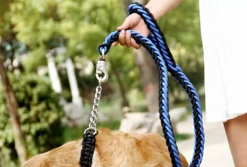 狗狗的伸缩牵引绳怎么拆卸图