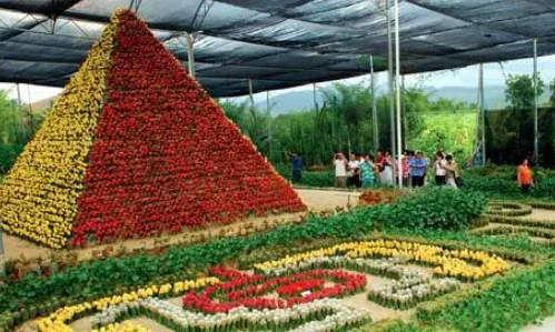 南川旅游景点大全