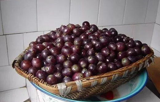 家庭葡萄酒的酿制方法有哪些？