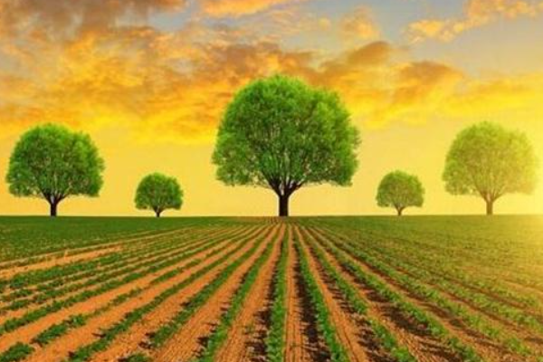 社会发展的决定力量是什么?