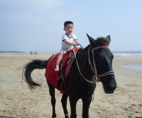 辽宁一男孩雪天骑马吃米线，骑马上路是种什么样的体验？