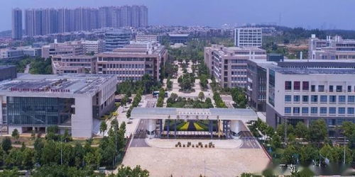 郑州财经学院回应“大二男生自伤”，具体都说了什么？