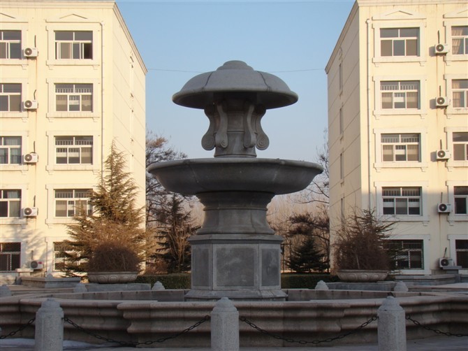 浪漫手机的MV 是在哪里拍摄的?